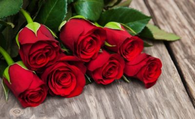 Habubu Mew Mew Inloggegevens Valentijnsdag | Bloemen kopen | GroenRijk Rijswijk